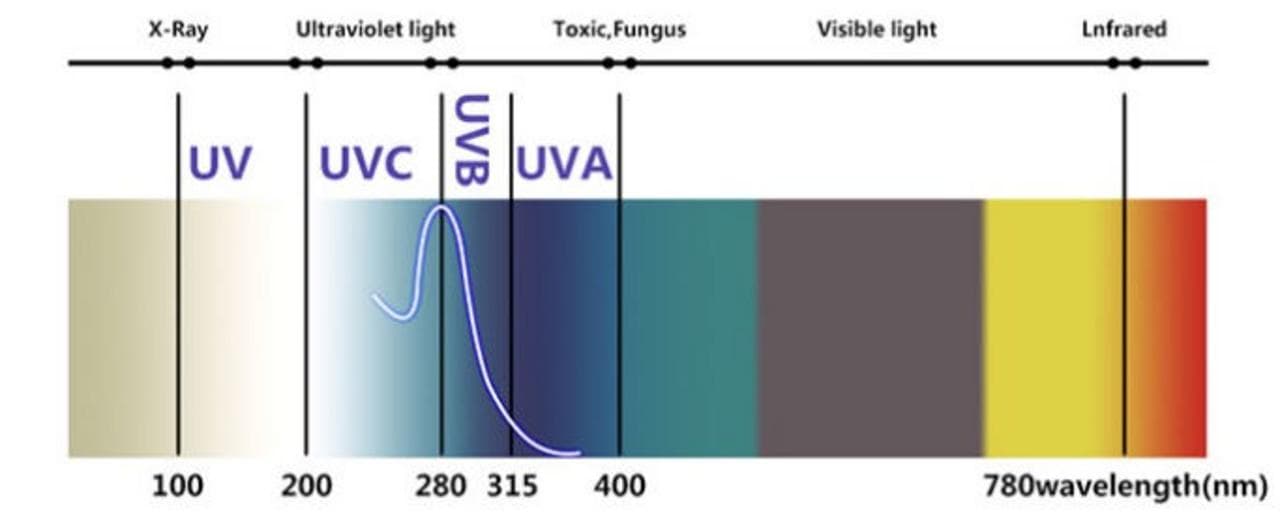 UV Sterilizer Bag UV Wavelength